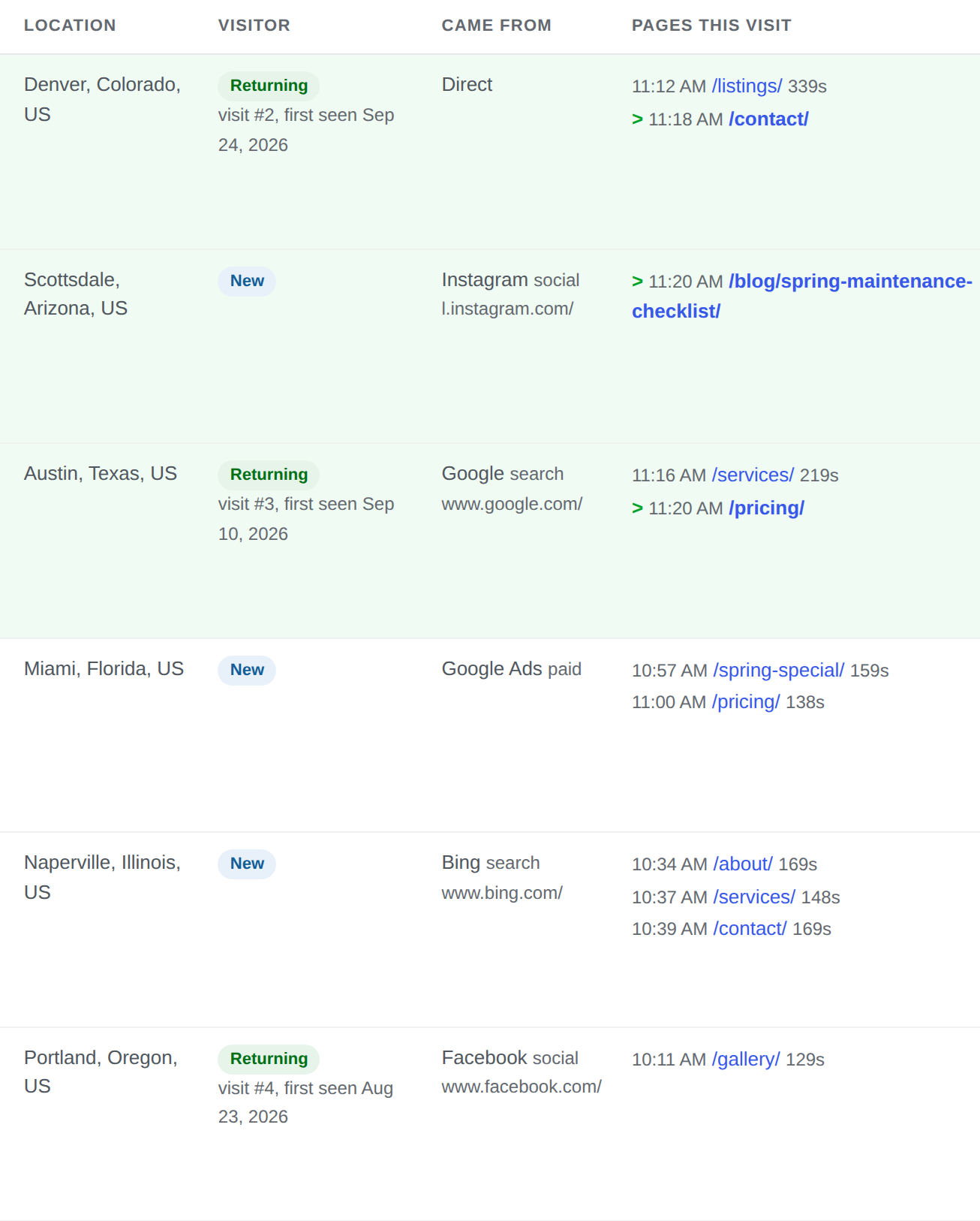 Visitor rows with their source: a Google search, Instagram, a Google Ads click, Bing, Facebook or direct, and the pages read in each visit