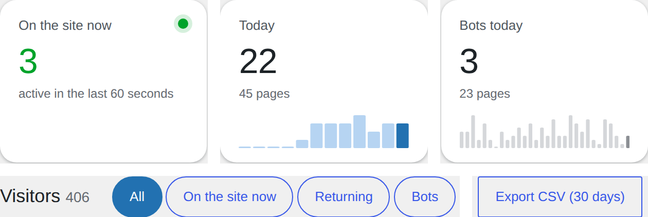 The summary cards for visitors on the site now, today and bots today, with the filters and the Export CSV button